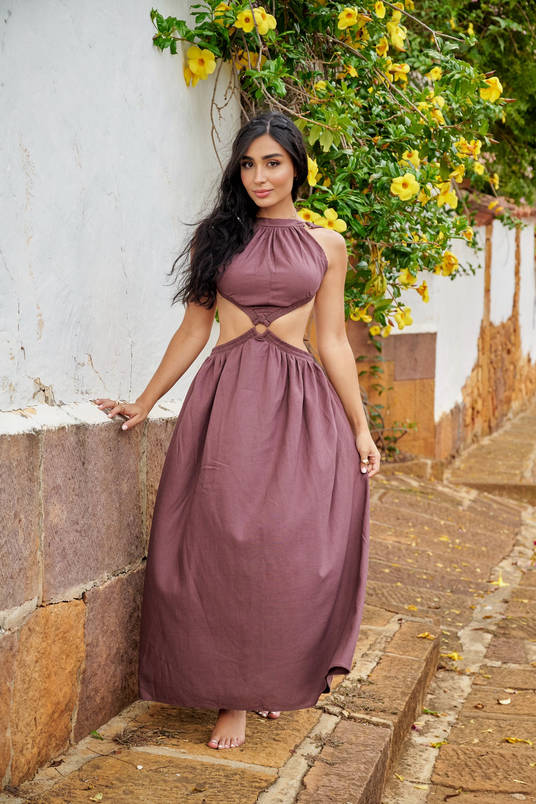 Amarilis Maxi Dress Brown