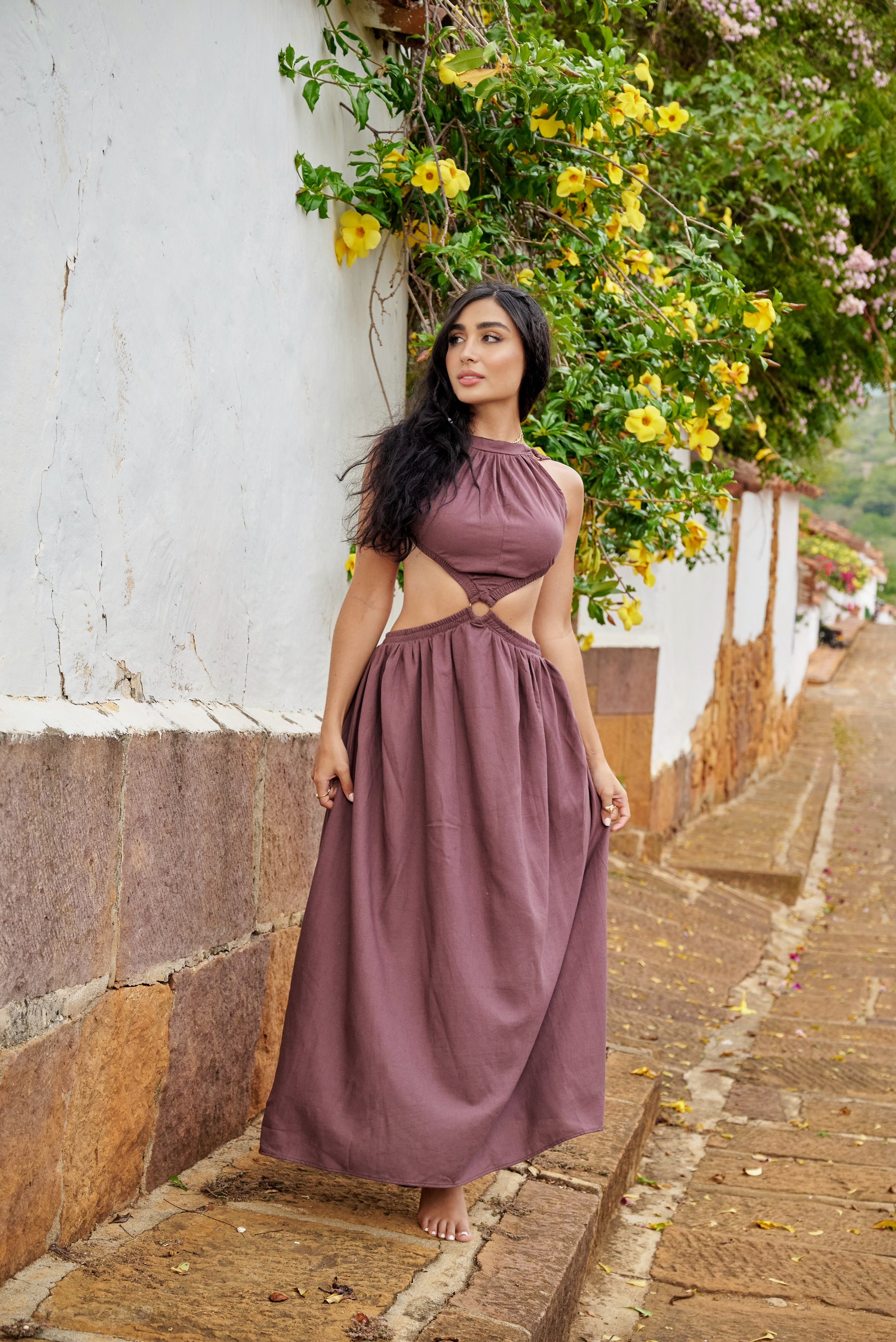 Amarilis Maxi Dress Brown