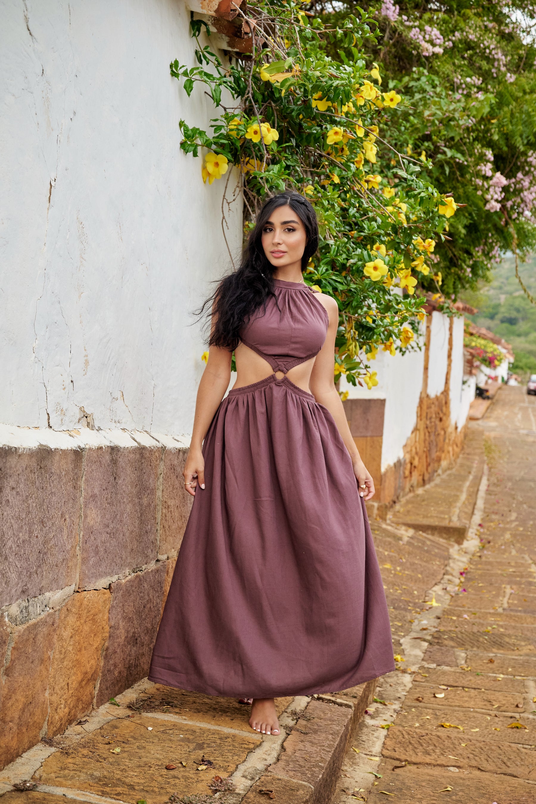 Amarilis Maxi Dress Brown