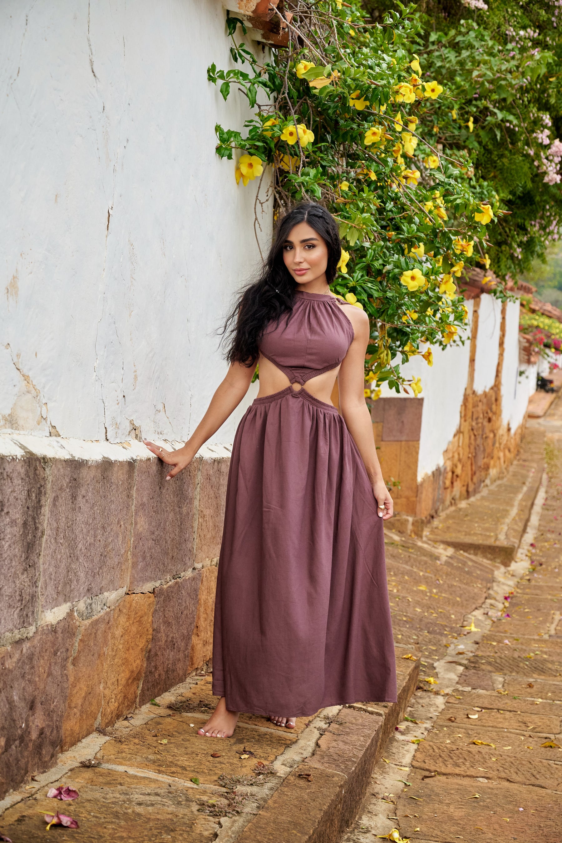 Amarilis Maxi Dress Brown